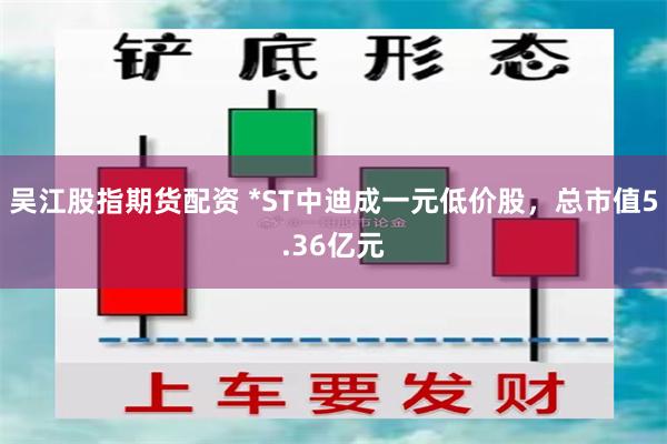 吴江股指期货配资 *ST中迪成一元低价股，总市值5.36亿元