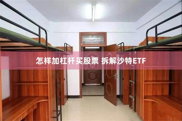 怎样加杠杆买股票 拆解沙特ETF