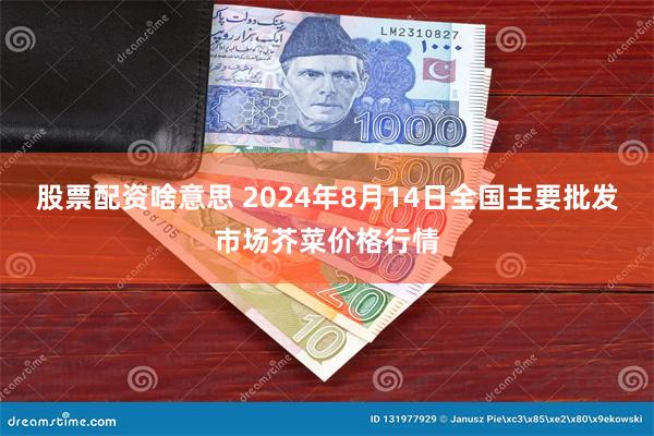 股票配资啥意思 2024年8月14日全国主要批发市场芥菜价格行情