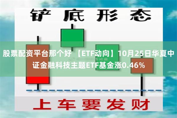 股票配资平台那个好 【ETF动向】10月25日华夏中证金融科技主题ETF基金涨0.46%