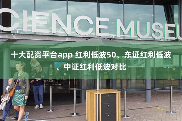 十大配资平台app 红利低波50、东证红利低波、中证红利低波对比