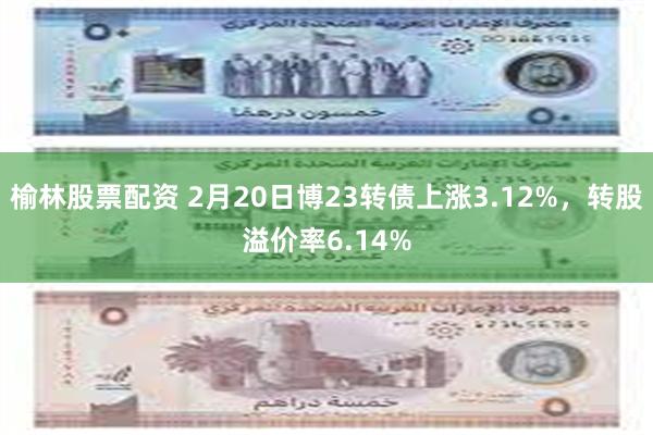 榆林股票配资 2月20日博23转债上涨3.12%，转股溢价率6.14%