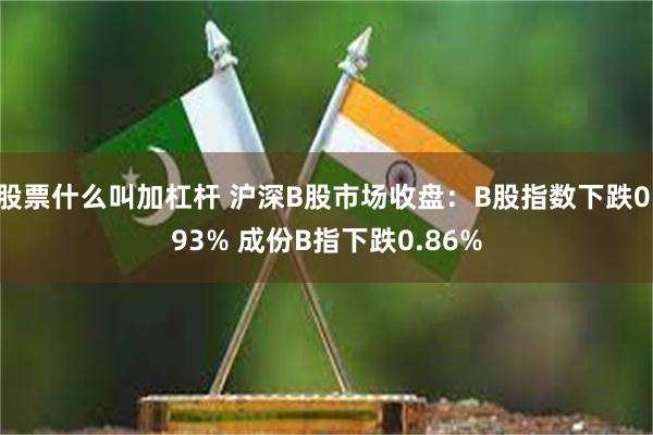 股票什么叫加杠杆 沪深B股市场收盘：B股指数下跌0.93% 成份B指下跌0.86%