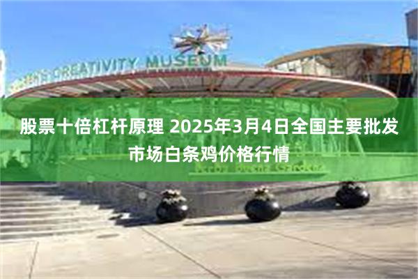 股票十倍杠杆原理 2025年3月4日全国主要批发市场白条鸡价格行情