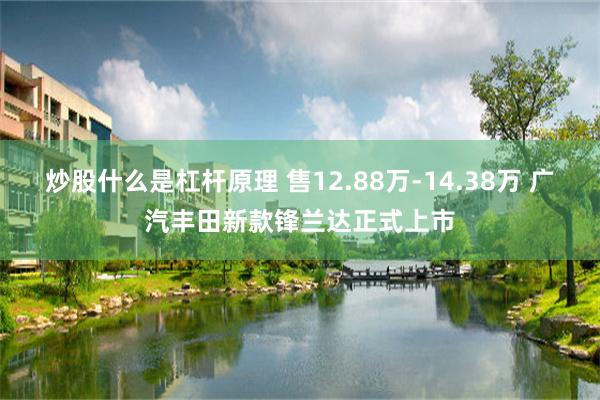 炒股什么是杠杆原理 售12.88万-14.38万 广汽丰田新款锋兰达正式上市