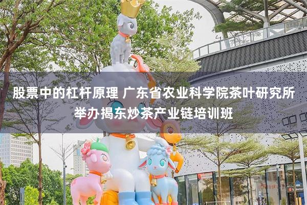 股票中的杠杆原理 广东省农业科学院茶叶研究所举办揭东炒茶产业链培训班